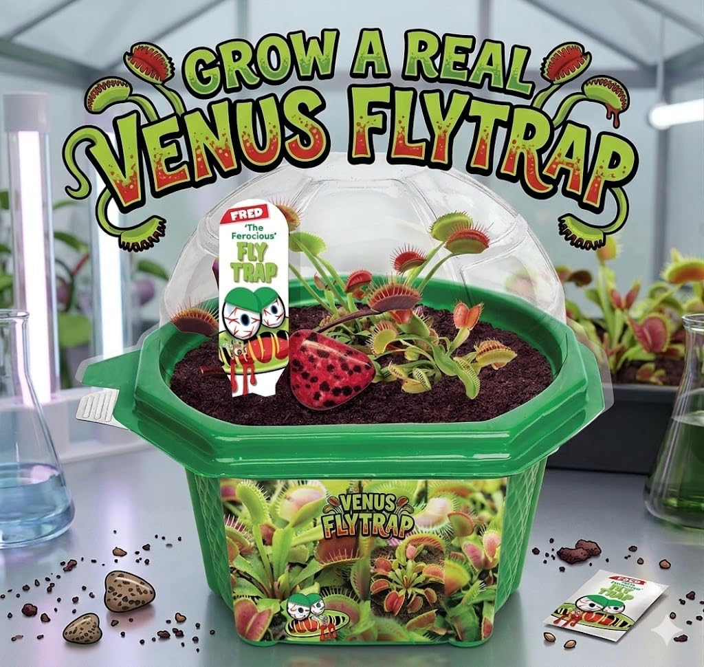Grow Your Own Venus Fly Trap - Fun and Easy to Grow Franki The